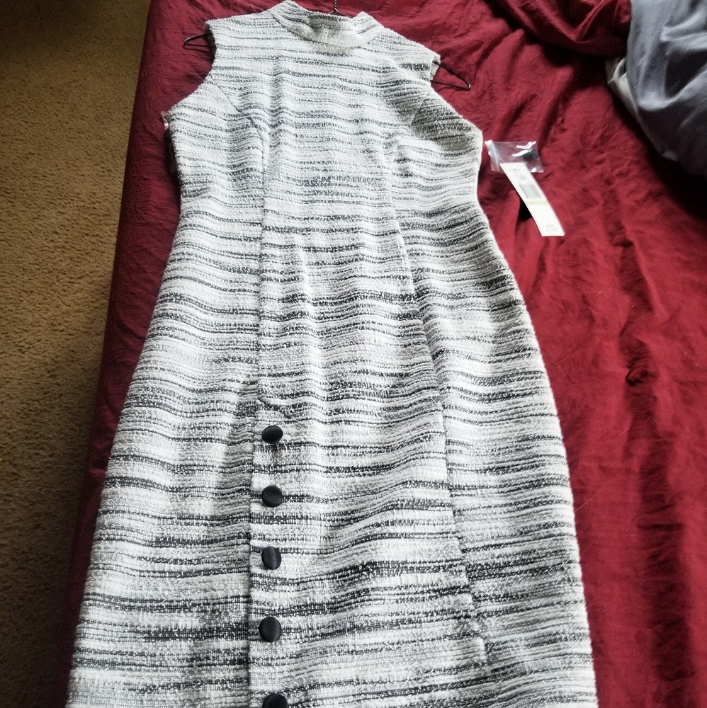 Sharagano Dress